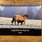 Jahreskalender 2026 - ausverkauft!