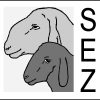 cropped-LogoSEZ.jpg